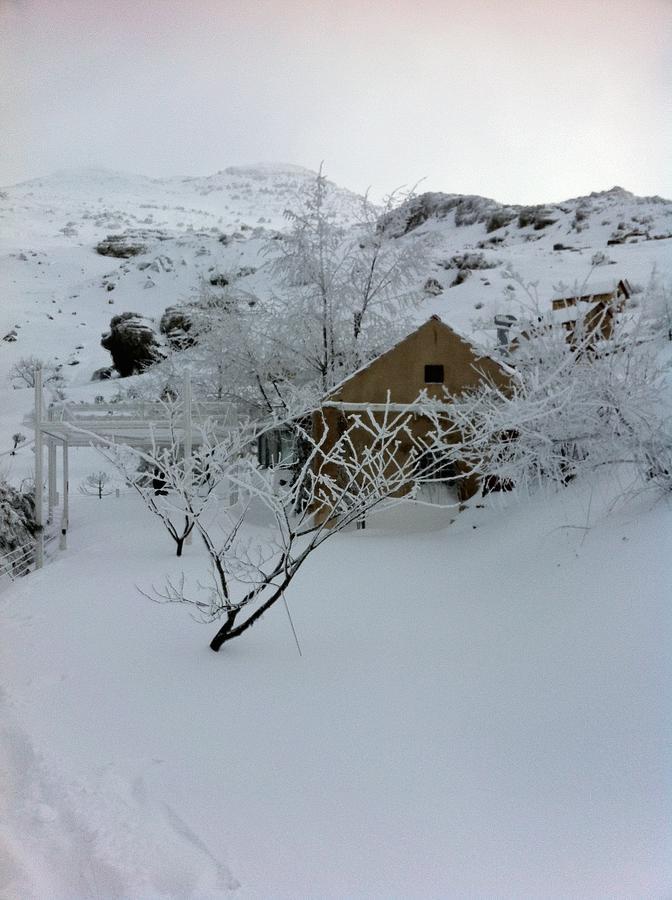 Soha Village Resort Falugha Exterior photo